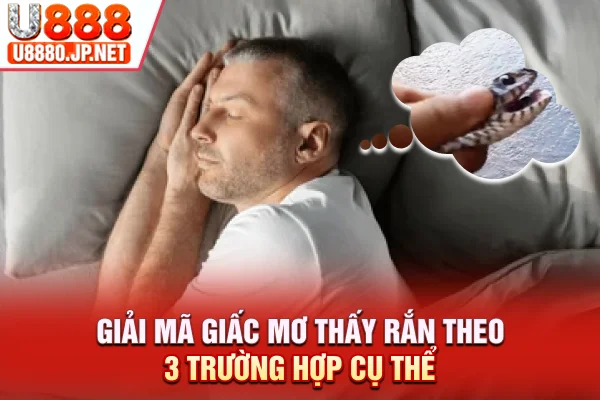 Giải mã giấc mơ thấy rắn theo 3 trường hợp cụ thể